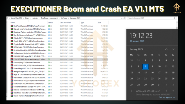 EXECUTIONER Boom and Crash EA V1.1