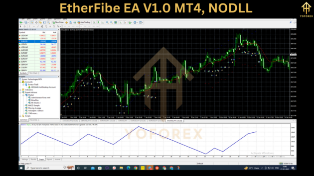 EtherFibe EA V1.0