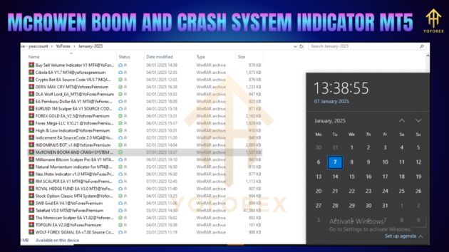 McROWEN BOOM AND CRASH SYSTEM INDICATOR