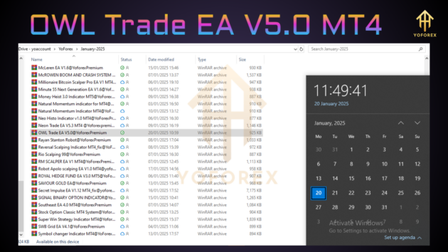 OWL Trade EA V5.0