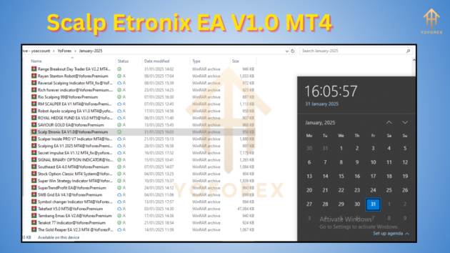 Scalp Etronix EA V1.0