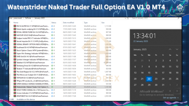 Waterstrider Naked Trader Full Option EA V1.0