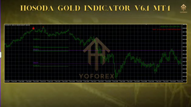 Hosoda GOLD Indicator V6.1