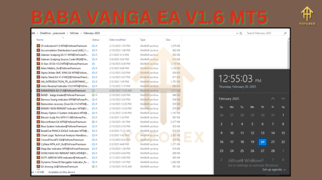 BABA VANGA EA V1.6