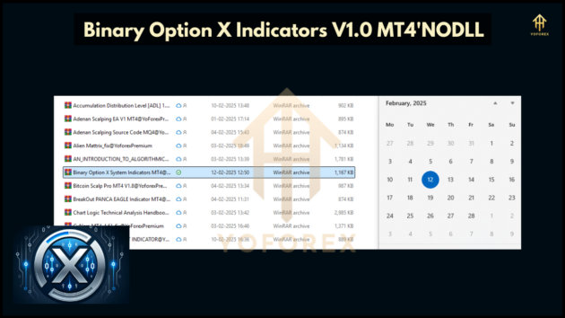 Binary Option X Indicators V1.0