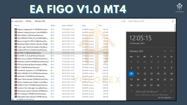 EA FIGO V1.0