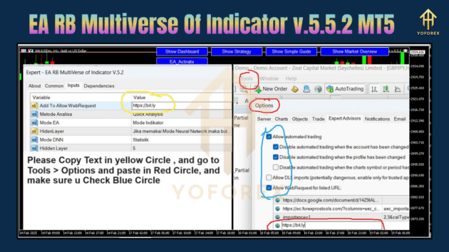 EA RB Multiverse Of Indicator v.5.5.2 MT5