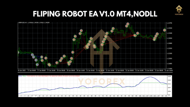 FLIPING ROBOT EA V1.0