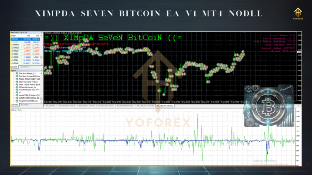 XIMpDA SeVeN Bitcoin EA V1