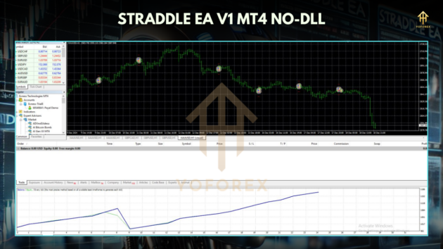 STRADDLE EA V1