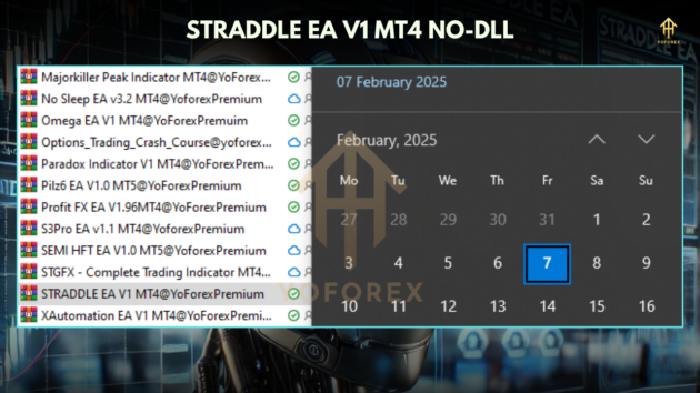 STRADDLE EA V1