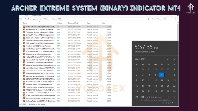 Archer Extreme System (BINARY) Indicator