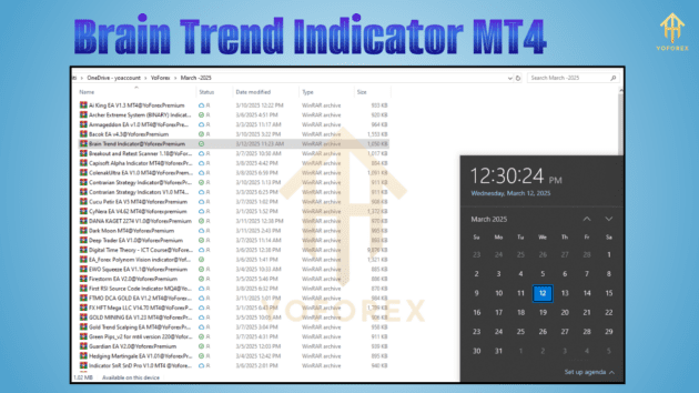 Brain Trend Indicator MT4