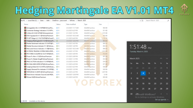 Hedging Martingale EA V1.01