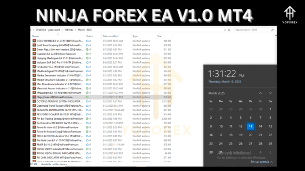 Ninja Forex EA V1.0