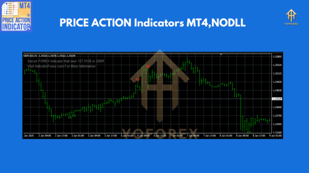 PRICE ACTION Indicators V1.0