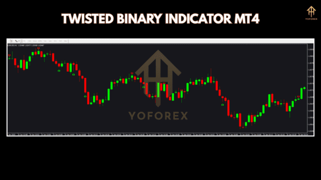 TWISTED BINARY INDICATOR