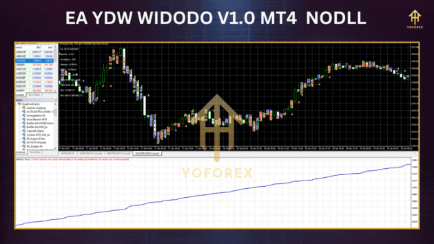 EA YDW Widodo v1.0